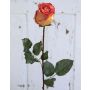 Artificial rose OPHELIE, orange-yellow, 33"/85cm, Ø2.8"/7cm