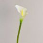 Silk calla SUSANA, white, 28"/70cm, 3.1"x4.7"/8x12cm