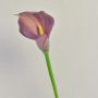 Artificial calla lily TALEA, purple, 26"/65cm, 3.5"x4.3"/9x11cm