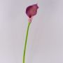 Silk calla TERESA, violet, 28"/70cm, 4"x7"/10x18cm