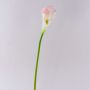 Silk calla TERESA, white-pink, 28"/70cm, 4"x7"/10x18cm