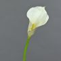 Silk calla TERESA, cream, 28"/70cm, 4"x7"/10x18cm