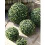 Artificial boxwood ball HEINZ, plastic grid, Ø10"/25cm