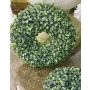 Artificial boxwood wreath HEINZ, Ø9"/24cm
