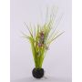 Artificial grass Star of Bethlehem MANFREDO, soil ball, purple-pink, 16"/40cm