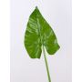 Artificial calla leaf FRANSCHESKA, green, 28"/70cm