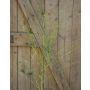 Artificial fountain grass branch ZORANA, green, 4ft/115cm