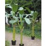 Artificial banana tree PENDRA, 8ft/240 cm