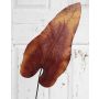 Artificial caladium leaf DONALD, orange-brown, 31"/80cm