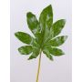 Artificial aralia leaf SALVATORE, green, 28"/70cm