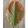 Artificial rhubarb leaf MARLINA, green-red, 3ft/90cm