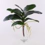 Artificial Phalaenopsis orchid leaves ARLETTE, aerial roots, 16"x18"/40x45cm