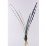 Artificial Cymbidium orchid leaves AURICA, aerial roots, 28"/70cm