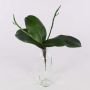 Artificial leaves Phalaenopsis orchid DORTE, aerial roots, 9"x11"/22x28cm