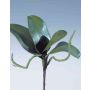 Artificial leaves Phalaenopsis orchid DORTE, aerial roots, 8.7"x11"/22x28cm