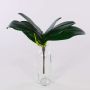 Artificial Phalaenopsis orchid leaves DAPHI, aerial roots, 11"x13"/29x33cm