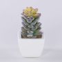 Artificial pachyphytum oviferum ROBBIE, ceramic pot, green, 5.1"/13cm