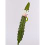 Artificial queen of the night cactus DOMENICA, flower, white, 20"/50cm