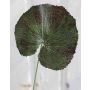 Artificial Geranium Leaf HEIDEGARD, green-red, 15"/38cm, Ø4.3"/11cm