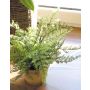 Artificial Boston fern MARGARETA, in decorative pot, 10"/25cm, Ø12"/30cm