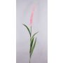 Artificial pennisetum LEBRERO with panicles, pink, 6ft/175cm