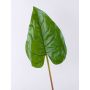 Artificial flamingo flower leaf NORMAN, green, 4ft/110cm