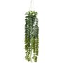 Decorative hanging plant: Columnea hanging basket SEHNDAS in decorative pot, green, 33"/85cm