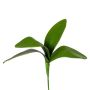 Artificial Phalaenopsis orchid leaves TRIVLEN, stick, 8"/20cm