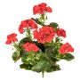 Decorative flower Geranium DOLKREN, spike, crossdoor, red, 16"/40cm