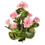 Decorative flower Geranium DOLKREN, spike, crossdoor, pink, 16"/40cm