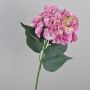 False hydrangea ANGELINA, pink-yellow, 28"/70cm, Ø9"/23cm