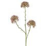 Decorative allium branch ALIKIO, purple, 65cm, Ø7cm