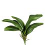 Artificial leaves, Phalaenopsis orchid DRANFOL, support stick, aerial roots, 14"/35cm