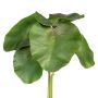 Decorative water lily leaves LIRVA, 5 pieces, green, 11"/27cm