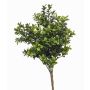 Artificial boxwood TOM on a stake, crossdoor, 12"/30cm