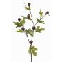 Decorative fig branch PROWER with fruit, green, 35"/90cm