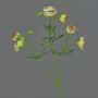 Fake ranunculus YARIS, green-pink, 26"/65cm, Ø1.2"-1.8"/3-4,5cm
