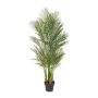 Decorative palm tree Areca URUBE in decorative pot, 5ft/160cm