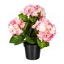 Decorative flower Hydrangea SLORFIN in black decorative pot, pink, 12"/30cm