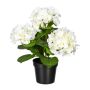 Decorative flower Hydrangea SLORFIN in black decorative pot, white, 12"/30cm