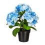 Decorative flower Hydrangea SLORFIN in black decorative pot, blue, 12"/30cm