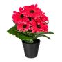 Artificial flower Gerbera KROLVEN in black decorative pot, fuchsia, 11"/27cm