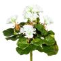 Decorative flower Geranium CRONVEL, spike, crossdoor, white, 10"/25cm