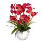 Artificial flower arrangement: Phalaenopsis orchid TRALFEN with grass, ceramic pot, roots, fuchsia-green, 24"/60cm