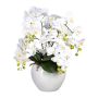Artificial Phalaenopsis orchid arrangement WEMBER with corkscrew willow, ceramic pot, roots, white, 55cm
