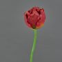 Fake parrot tulip LAARA, red-orange, 10"/25cm, Ø2.8"/7cm