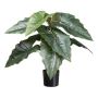 Artificial plant: Colocasia ZORHEL, green, 26"/65cm