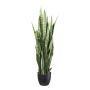 Artificial succulent Sanseveria PLINK in decorative pot, green, 4ft/110cm