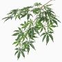 Fake Japanese maple spray DIRK, flame-resistant, green, 28"/70cm