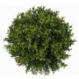 Artificial Boxwood ball TOM, wooden core, Ø11"/28cm